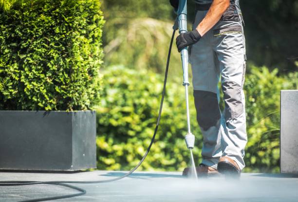 Best Playground Equipment Cleaning  in West Rancho Dominguez, CA