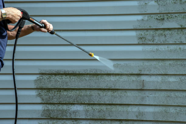 Best Driveway Pressure Washing  in West Rancho Dominguez, CA