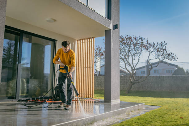 Best Pre-Holiday Cleaning  in West Rancho Dominguez, CA